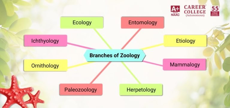 Branches of Zoology